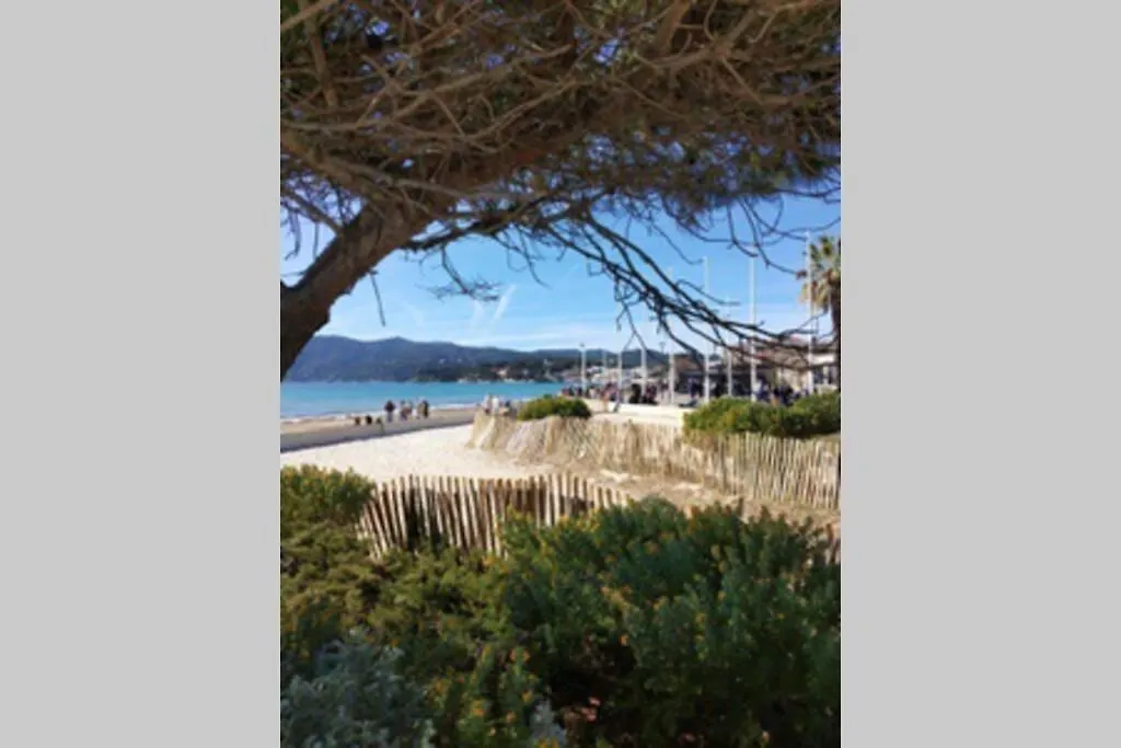 Appartement 8Pers 5Min De La Plage Check-In 24H La Seyne-sur-Mer Apartment